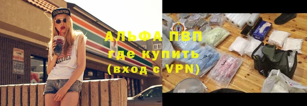 ПСИЛОЦИБИНОВЫЕ ГРИБЫ Козловка