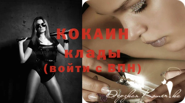 ПСИЛОЦИБИНОВЫЕ ГРИБЫ Козловка