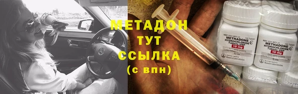 ПСИЛОЦИБИНОВЫЕ ГРИБЫ Козловка