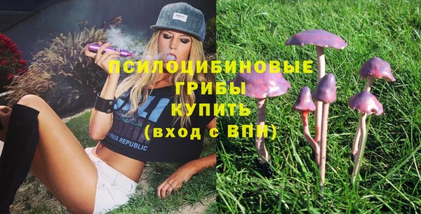 ПСИЛОЦИБИНОВЫЕ ГРИБЫ Козловка