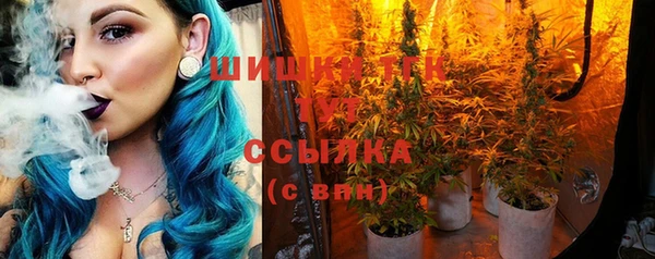 трава Козельск