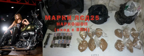 ПСИЛОЦИБИНОВЫЕ ГРИБЫ Козловка