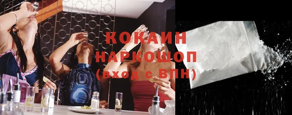 ПСИЛОЦИБИНОВЫЕ ГРИБЫ Козловка