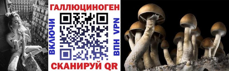 Псилоцибиновые грибы Psilocybine cubensis Мышкин